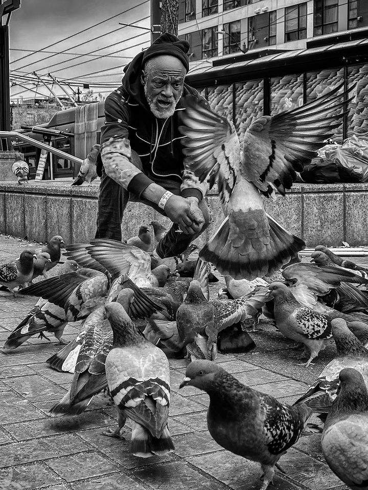 Dennis Kirkland_Feeding The Pigeons_BPC