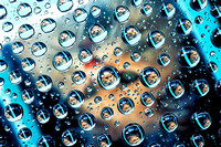 Kirkland c 5 Cat in Water Drops
