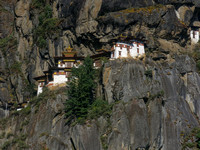Whitney 1 Tiger's Nest, Paro, Bhutan