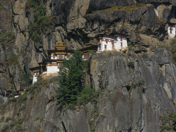 Whitney 1 Tiger's Nest, Paro, Bhutan