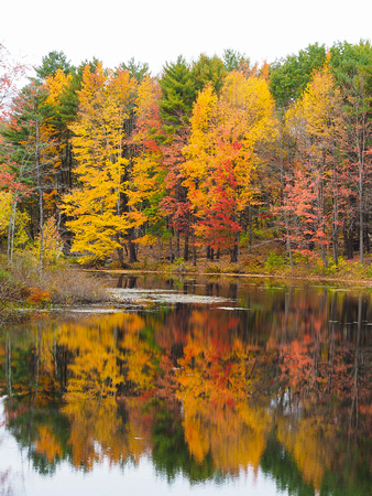 Fall Colors Reflecting