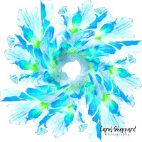 Reality Altered WSWM Blue Hibiscus Flower Mandala-