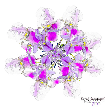 Reality Altered WSWM Orchid Flower Mandala-
