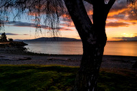 Marine Park - Tree sunset 2 sm- April 22