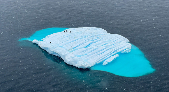 Iceberg with Penguins